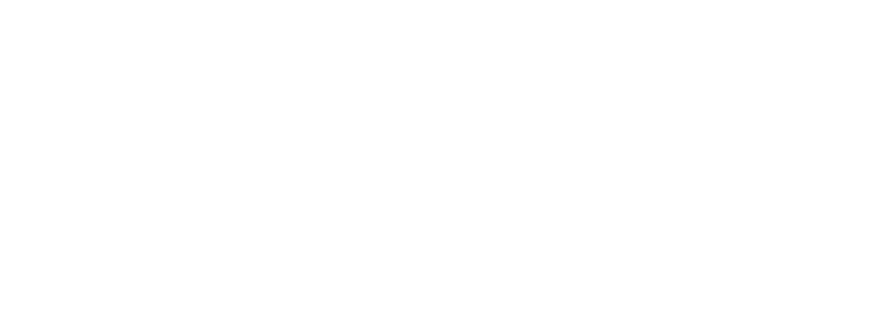 CapIngelec