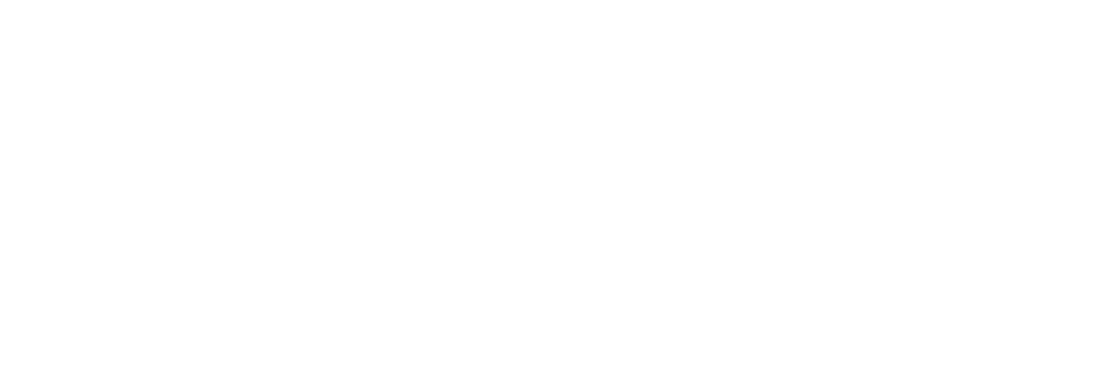 CapIngelec